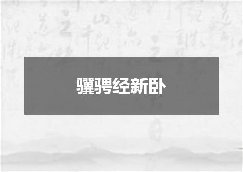骥骋经新卧