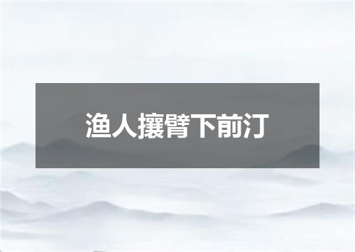 渔人攘臂下前汀