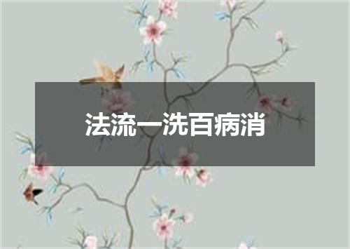 法流一洗百病消