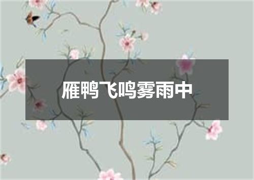 雁鸭飞鸣雾雨中