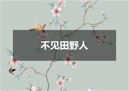 不见田野人