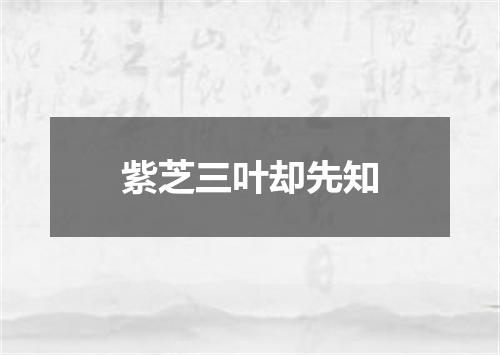 紫芝三叶却先知