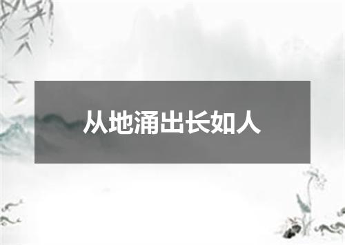 从地涌出长如人