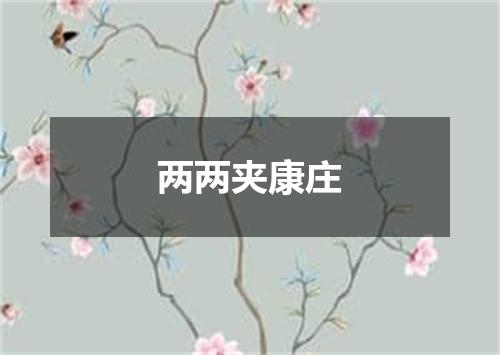 两两夹康庄