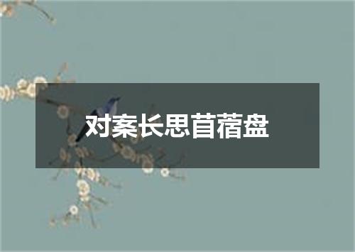 对案长思苜蓿盘