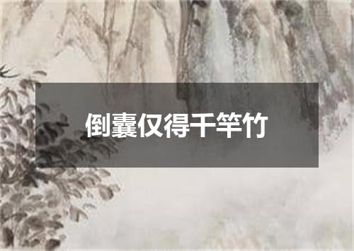 倒囊仅得千竿竹