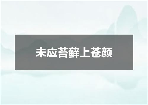 未应苔藓上苍颜