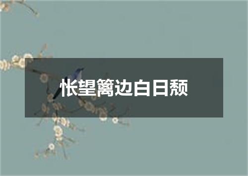 怅望篱边白日颓
