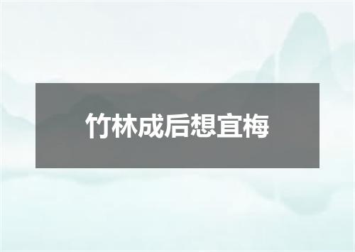 竹林成后想宜梅