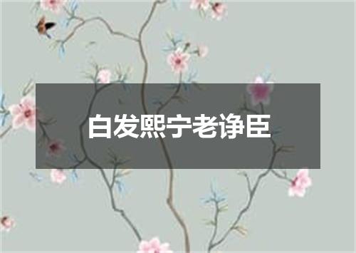 白发熙宁老诤臣