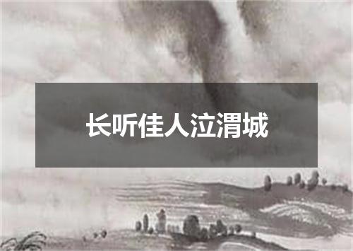 长听佳人泣渭城