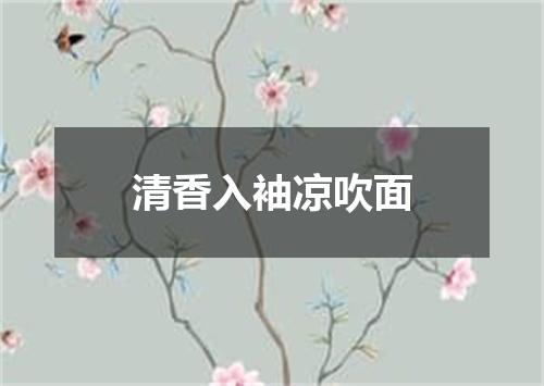 清香入袖凉吹面