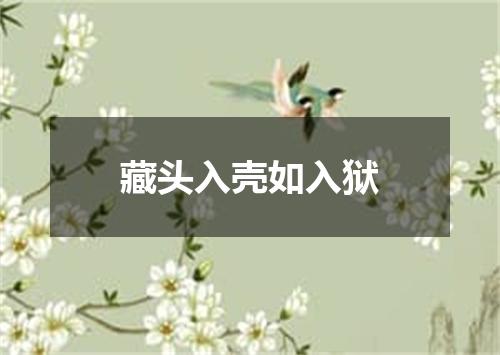 藏头入壳如入狱