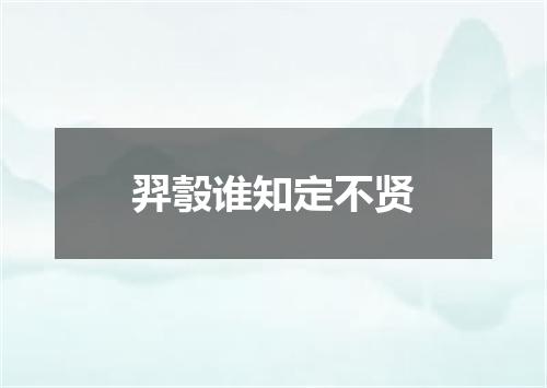 羿彀谁知定不贤