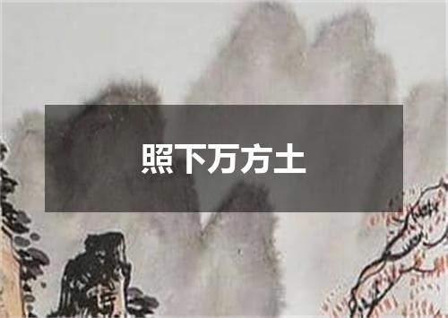 照下万方土