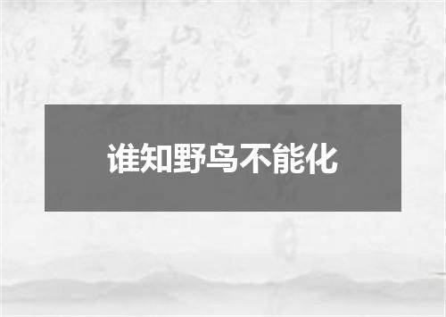 谁知野鸟不能化