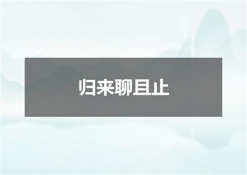 归来聊且止