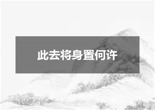 此去将身置何许