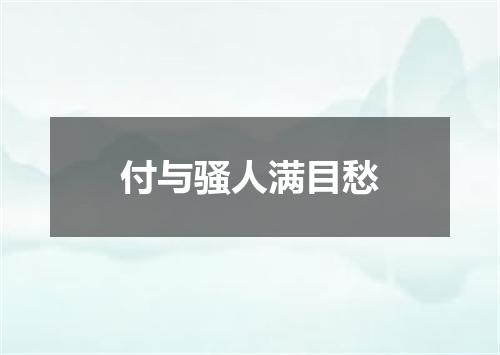 付与骚人满目愁