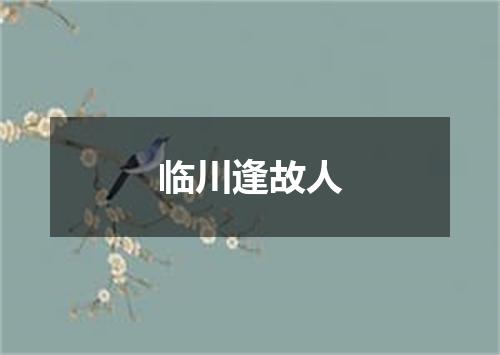 临川逢故人