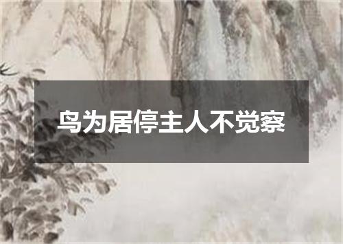 鸟为居停主人不觉察