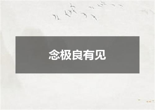念极良有见