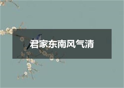 君家东南风气清