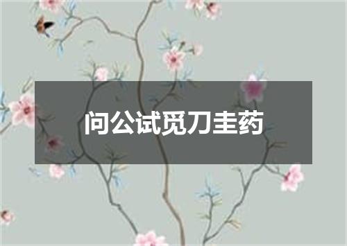 问公试觅刀圭药