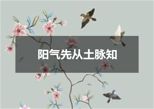 阳气先从土脉知