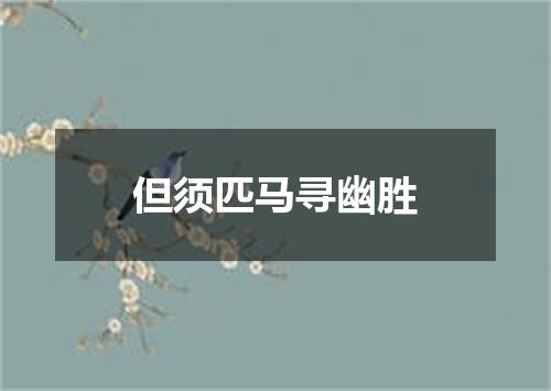 但须匹马寻幽胜
