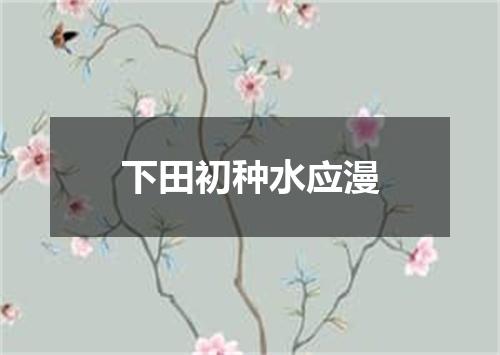下田初种水应漫