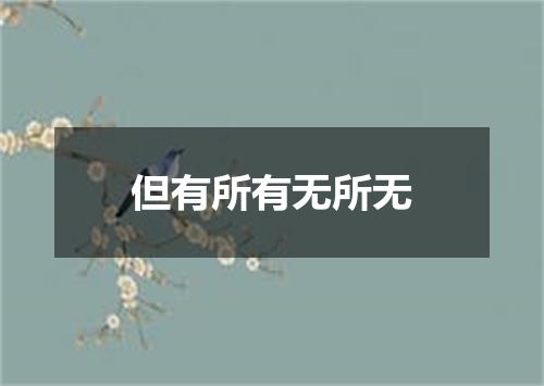 但有所有无所无