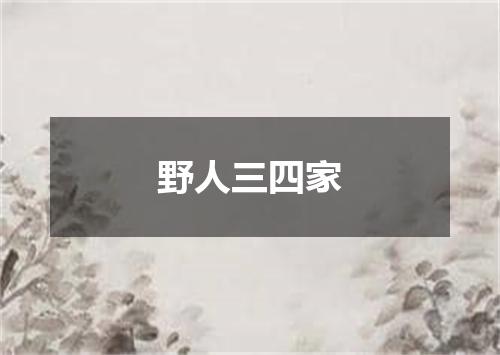 野人三四家