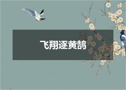 飞翔逐黄鹄