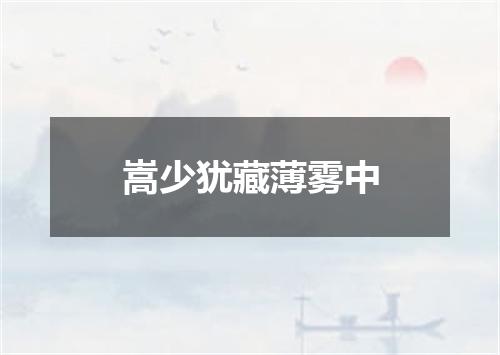 嵩少犹藏薄雾中