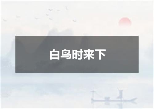 白鸟时来下