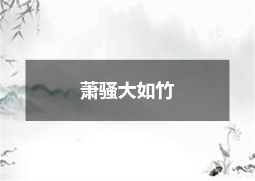 萧骚大如竹