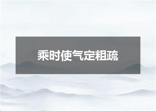 乘时使气定粗疏