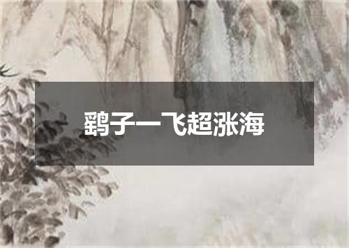 鹞子一飞超涨海