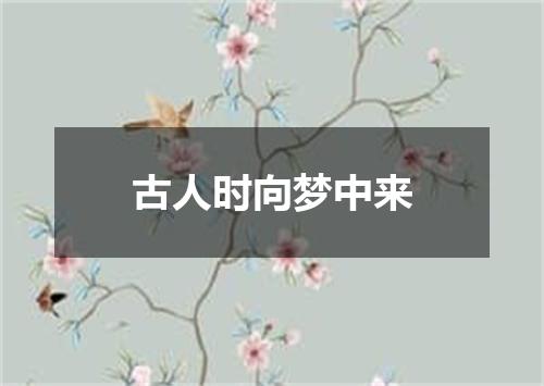 古人时向梦中来