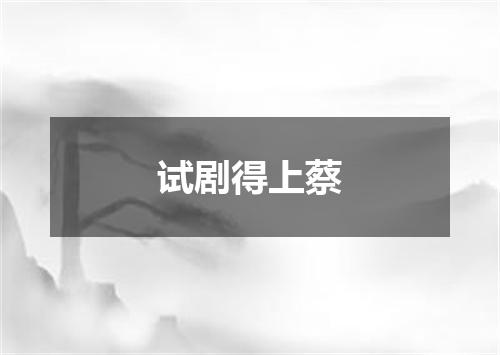 试剧得上蔡