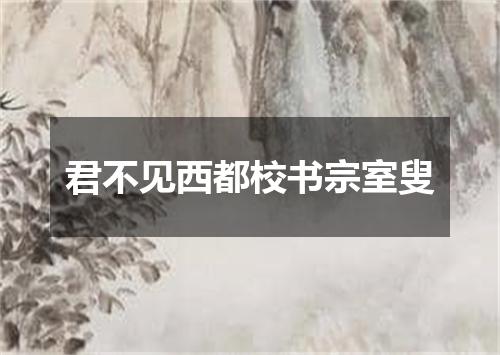 君不见西都校书宗室叟