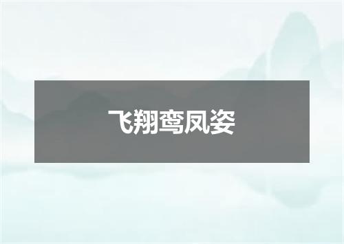 飞翔鸾凤姿
