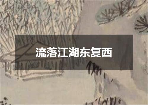 流落江湖东复西