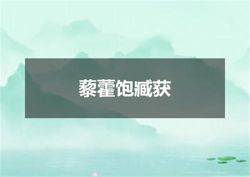 藜藿饱臧获