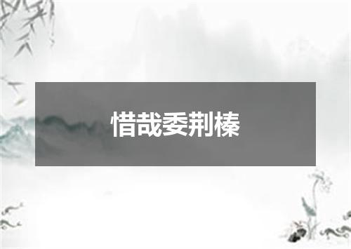 惜哉委荆榛