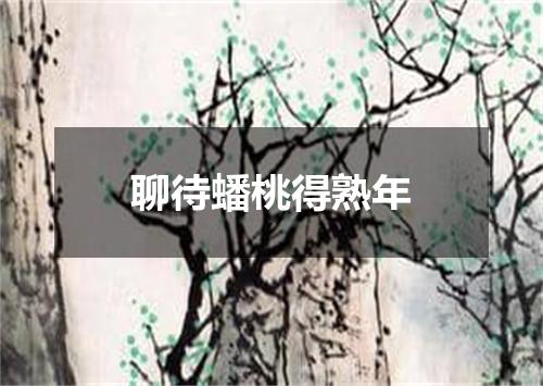 聊待蟠桃得熟年
