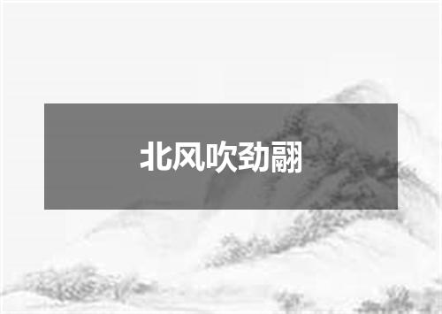 北风吹劲翮