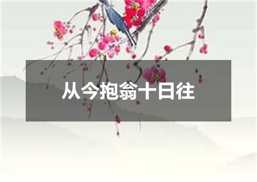 从今抱翁十日往