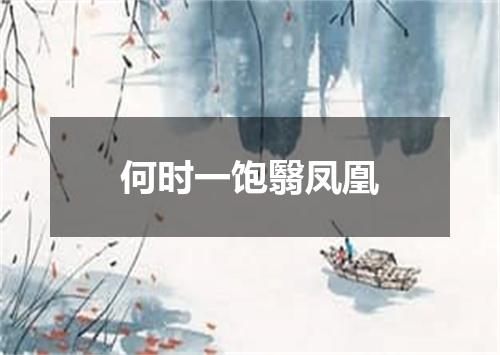 何时一饱翳凤凰